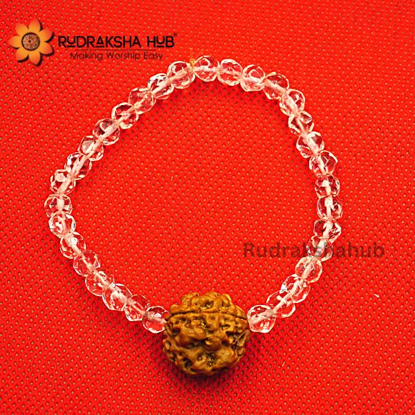 3 Mukhi Rudraksha Sphatik Bracelet