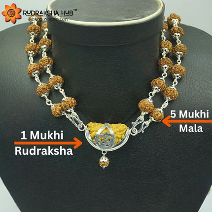 1 मुखी रुद्राक्ष माला 10 मिमी