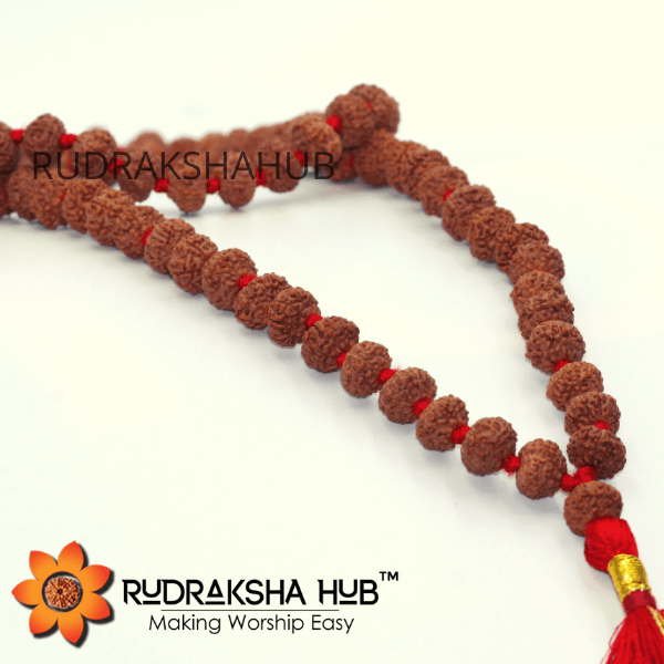 10 Mukhi Rudraksha Mala