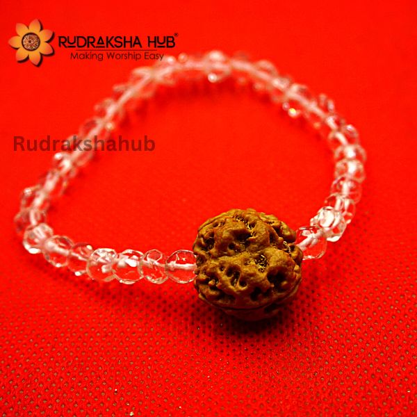 3 Mukhi Rudraksha Sphatik Bracelet