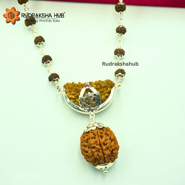 Rudraksha for Money and Power