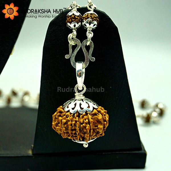 12 Mukhi Rudraksha in Pure Silver Mala