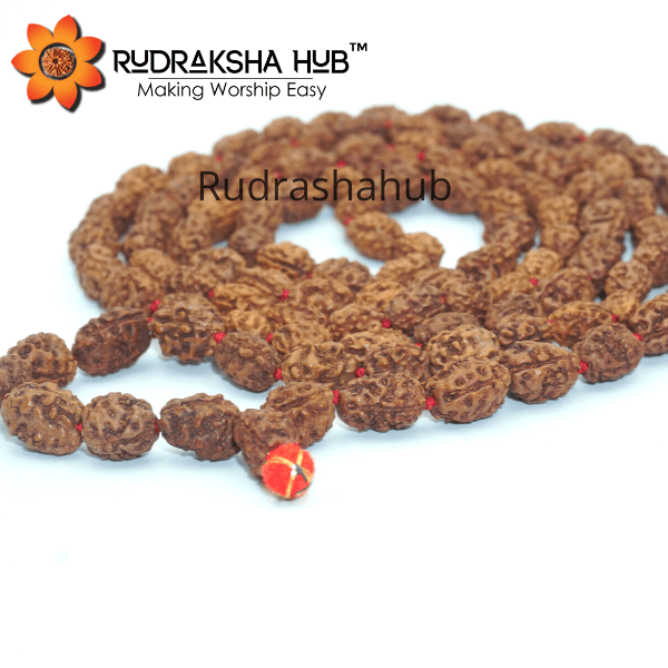 3 Mukhi Rudraksha Mala