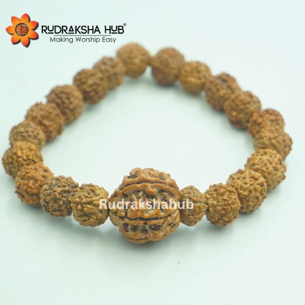 7 Mukhi Rudraksha Guru Bracelet
