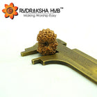 17 Mukhi Rudraksha (Indonesian)