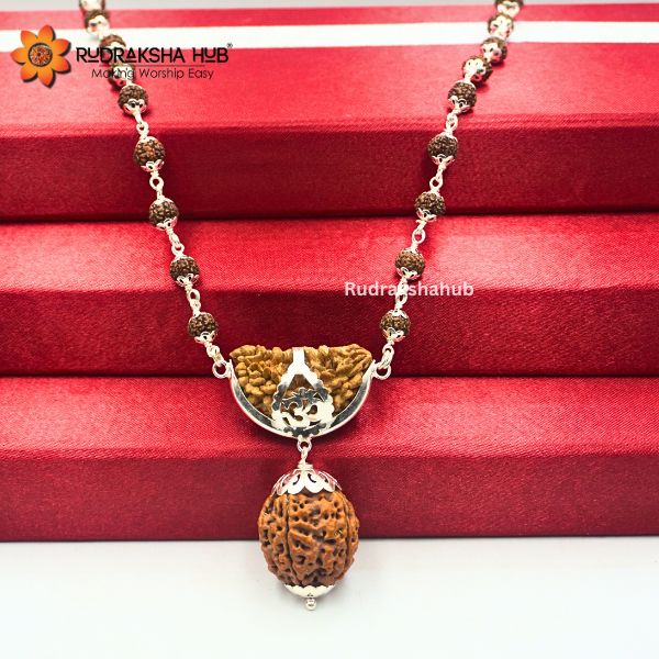 Rudraksha for Money and Power