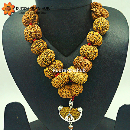 1-14 Mukhi Siddha Rudraksha Mala (Nepali)