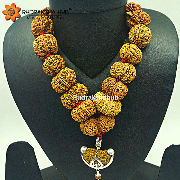 1-14 Mukhi Siddha Rudraksha Mala (Nepali)