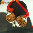 Rudraksha for Positive Energy