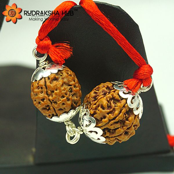 Rudraksha for Positive Energy