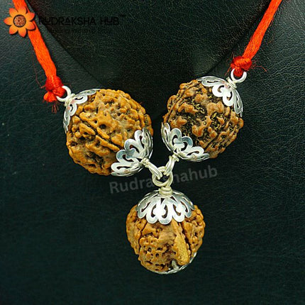 Rudraksha Kawach For Students