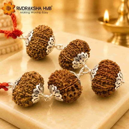 Rudraksha for Venus