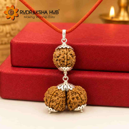 Rudraksha for Delayed Marriage