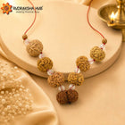 Rudraksha for Consultants
