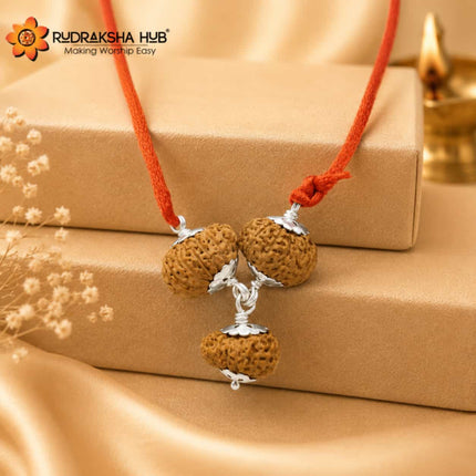 Rudraksha for Artists