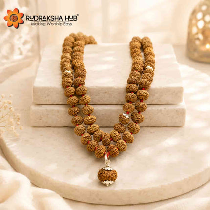 10 Mukhi Rudraksha Gurumala