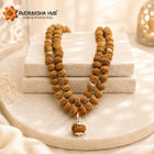 10 Mukhi Rudraksha Gurumala