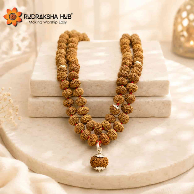 10 Mukhi Rudraksha Gurumala