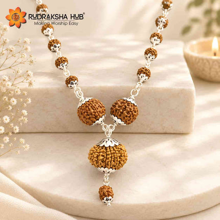 Rudraksha for Decision Making