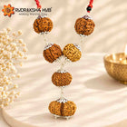 Rudraksha for Psychiatrist