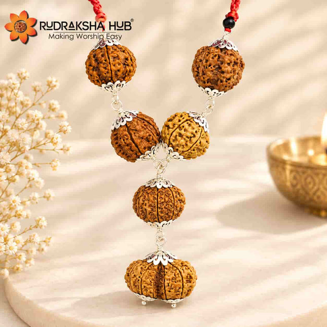Rudraksha for Psychiatrist