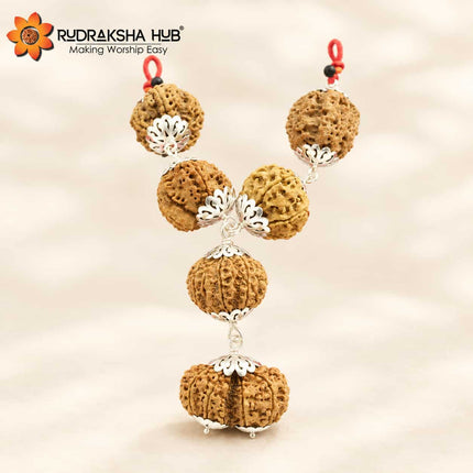Rudraksha for Psychiatrist