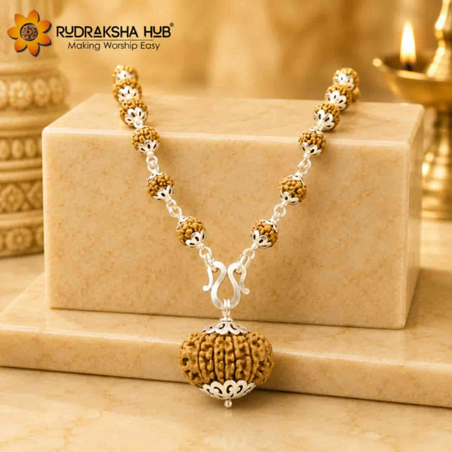 Money Magnet Rudraksha