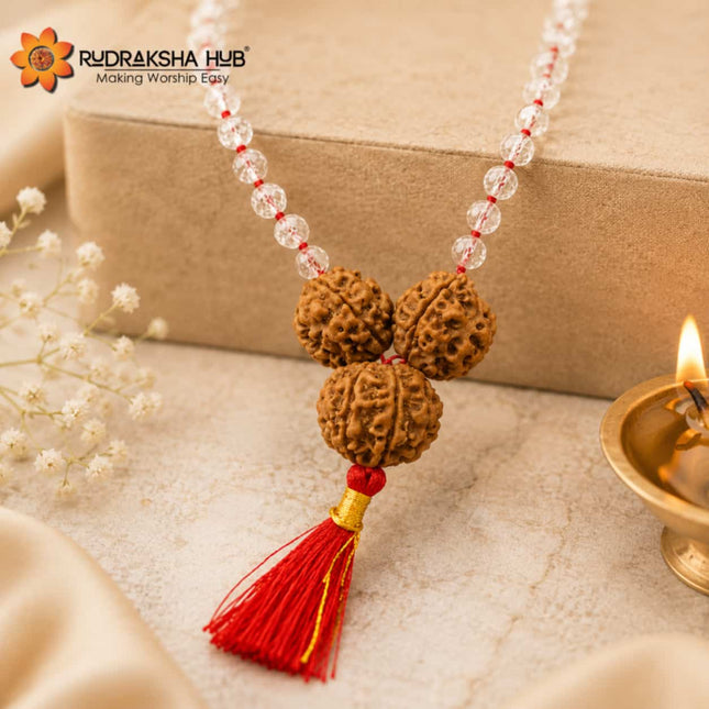 Rudraksha for Good Health, Peace, and Prosperity