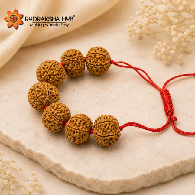 7 Mukhi Rudraksha Bracelet (Nepali)