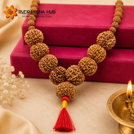 Rudraksha for Officers