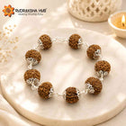 Rudraksha for Cash Flow