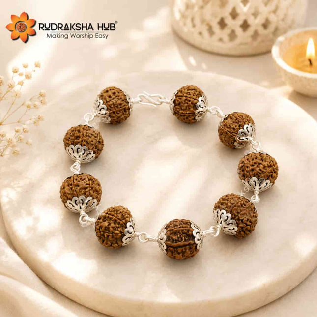 Rudraksha for Cash Flow