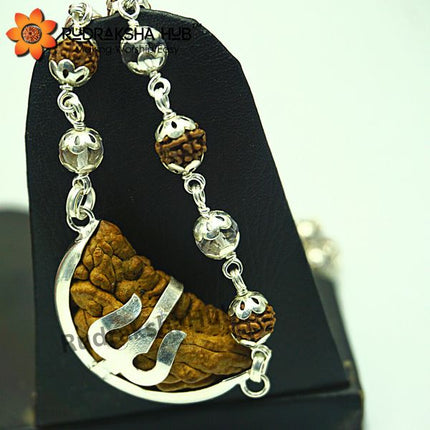 Rudraksha for Peace and Power