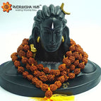 रुद्राक्ष माला के साथ