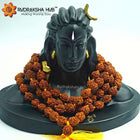 आदियोगी शिव प्रतिमा