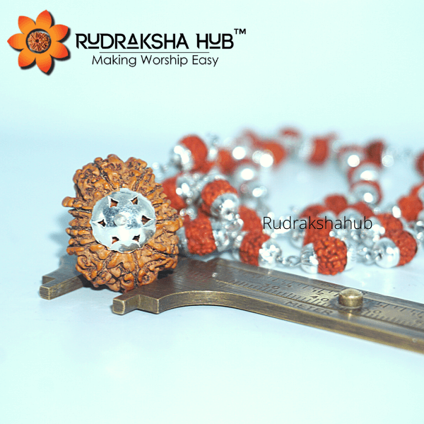 11 Mukhi Rudraksha in Silver Mala