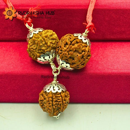 Rudraksha for Accountants