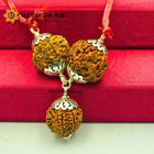 Rudraksha for Accountants