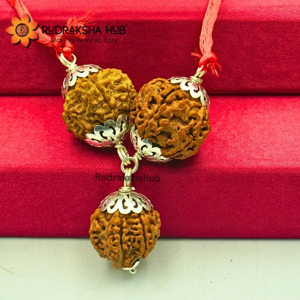 Rudraksha for Accountants