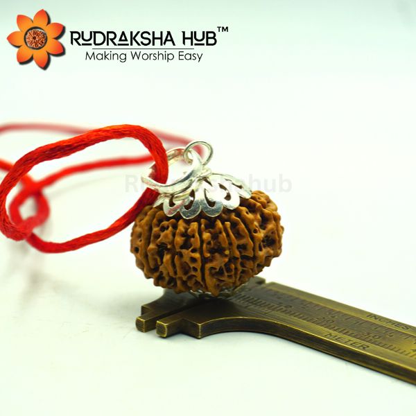 13 Mukhi Nepali Rudraksha Pendant