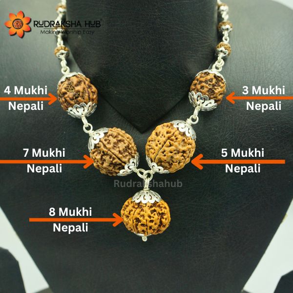 Rudraksha for Happiness