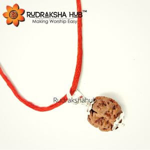 2 Mukhi Rudraksha Silver Pendant (Nepali)