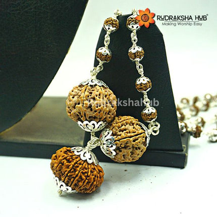 Rudraksha for Materialistic Gains