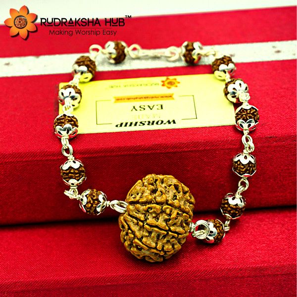 8 Mukhi Rudraksha Bracelet