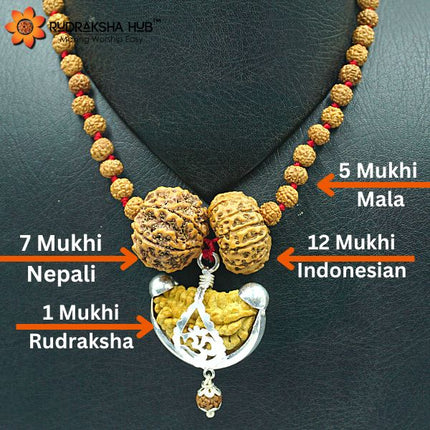 Rudraksha for Politics