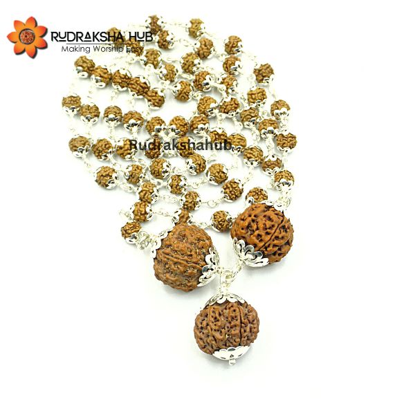 Rudraksha for Strong Jupiter