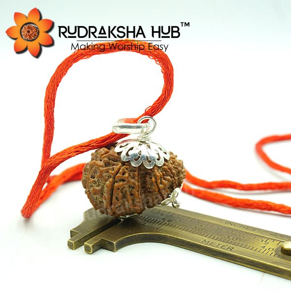 Garbh Gauri Rudraksha Pendant