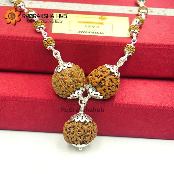 Rudraksha for Strong Jupiter