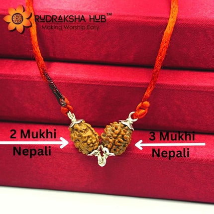 Rudraksha for Migraine