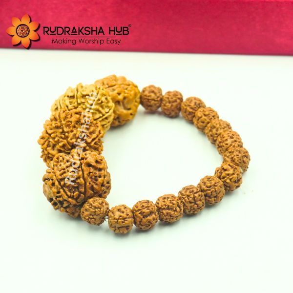 Rudraksha for Fertility Issues